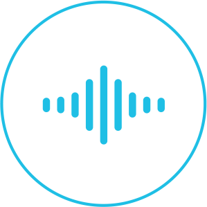 integrated-stereo-speakers-icon