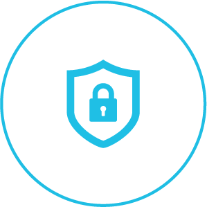 secure-icon